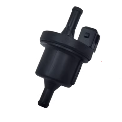 Thích hợp cho Geely Emgrand EC7 Vision Sea View Anh SC King Kong GX7 Mỹ-Nhật Freeship Panda Carbon Hộp Van Điện Từ