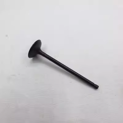 Thích hợp cho van Mitsubishi V33V43 Cheetah Black King Kong CFA2030 van nạp và xả 6G72 van nạp và van xả