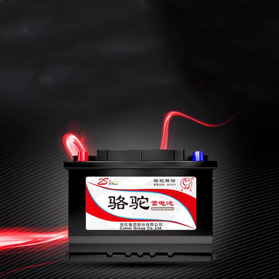 Ắc quy ô tô Camel 61044 phù hợp với SAIC MAXUS 110A chuyên dụng ắc quy ô tô gs bình ô tô