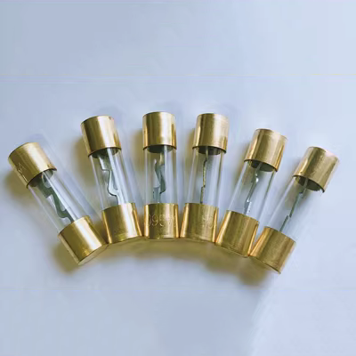 công tắc điện ô tô AGU 5AG Glass Fuse Tube 10*38 25A 30A 40A 50A 60A 80A 100A 250V cầu chì ống cầu chì thủy tinh