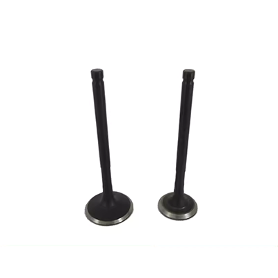 Thích hợp cho LIFAN 320 520 620 Động cơ Venus nhập cảnh vào mạo hiểm và mạo hiểm mạo hiểm