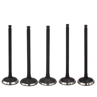 Áp dụng cho động cơ FAW Moriya S80 M80 trong van xả, sự bài tiết lớn của không khí trong 16 lần sửa chữa lớn