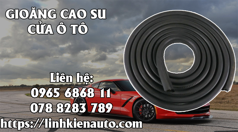 Gioăng cao su: khi nào cần thay gioăng cửa ô tô?